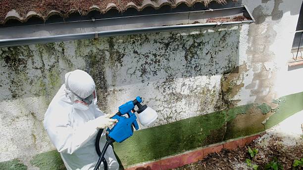Top rated local Attic Mold Remediation specialists in Shiloh, PA